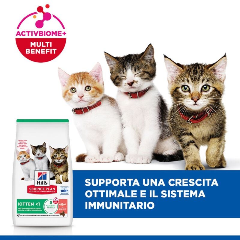 Hill's Sience Plan Kitten al Salmone 1,5 kg