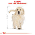 Royal Canin Dog Puppy Golden Retriver 12 kg