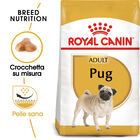 Royal Canin Dog Adult e Senior Carlino 1,5 kg