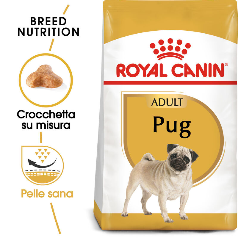 Royal Canin Dog Adult e Senior Carlino 1,5 kg