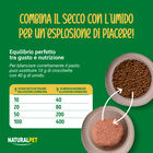 Naturalpet Le Delizie Cat Adult con Salmone e Merluzzo 85gr