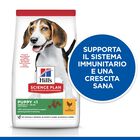 Hill's Science Plan Dog Medium Dog Puppy con Pollo 14 kg