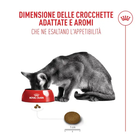 Royal Canin Cat Fussy Exigent 4kg