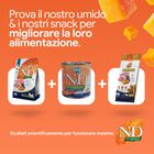 N&D Farmina Pumpkin Dog Adult Mini Agnello e Mirtillo 800 gr