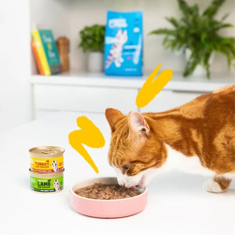 Edgard & Cooper Cat Adult Bocconcini in Salsa Tacchino e Pollo 85 gr