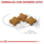 Royal Canin Dog Adult X-Small Sterilised 1,5 kg