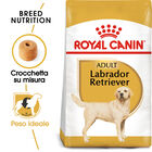Royal Canin Dog Adult e Senior Labrador Retriver 3 kg
