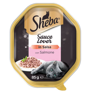 Sheba Cat Sauce Collection con Salmone 85 gr