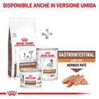 Royal Canin Veterinary Diet Dog Adult Small Gastrointestinal Low Fat 1,5 kg