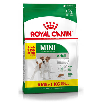 Royal Canin Dog Mini Adult 8 kg + 1kg Omaggio