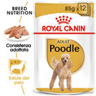 Royal Canin Dog Adult e Senior Barboncino 85 gr