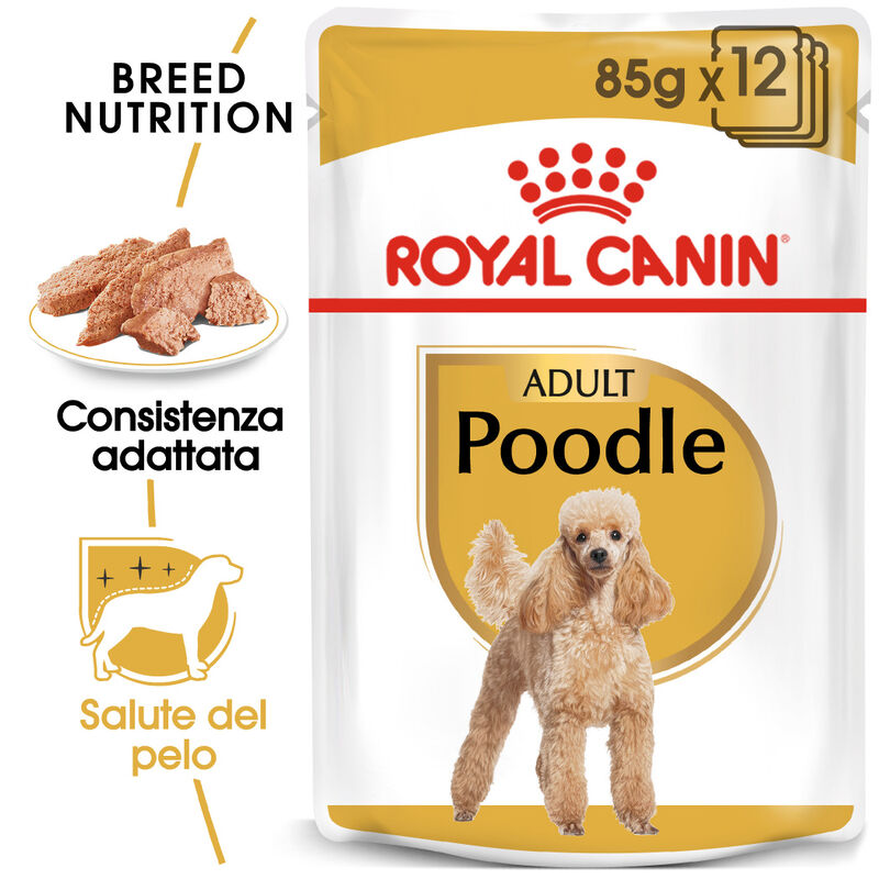 Royal Canin Dog Adult e Senior Barboncino 85 gr