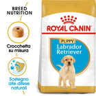 Royal Canin Dog Puppy Labrador Retriver 12 kg