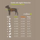 Coralpina Pettorina Cinquetorri Rosa Tg 6