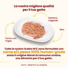 Almo Nature HFC Cat Jelly Tonno con Triglia 70g