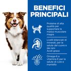 Hill's Science Plan Dog Mature Adult 7+ Lattina con Pollo 370 gr
