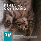 Joepet Kitten Bio Veg Olio 250 ml