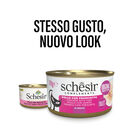 Schesir Cat Pollo con Prosciutto inì brodo70 gr