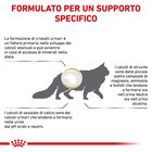 Royal Canin Veterinary Diet Cat Urinary S/O 3,5 kg
