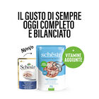Schesir Cat Tonnetto con Spigola in jelly 50 gr