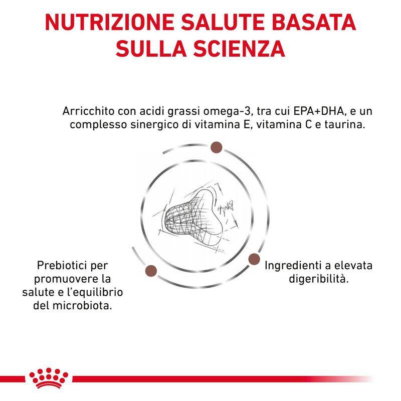 Royal Canin Veterinary Diet Cat Fiber Response 400 gr