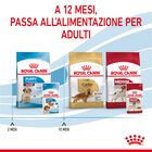 Royal Canin Dog Medium Puppy 140 gr