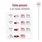 Royal Canin Dog Mini Adult +8, 8kg Royal Canin Dog Mini Adult +8, 8kg
