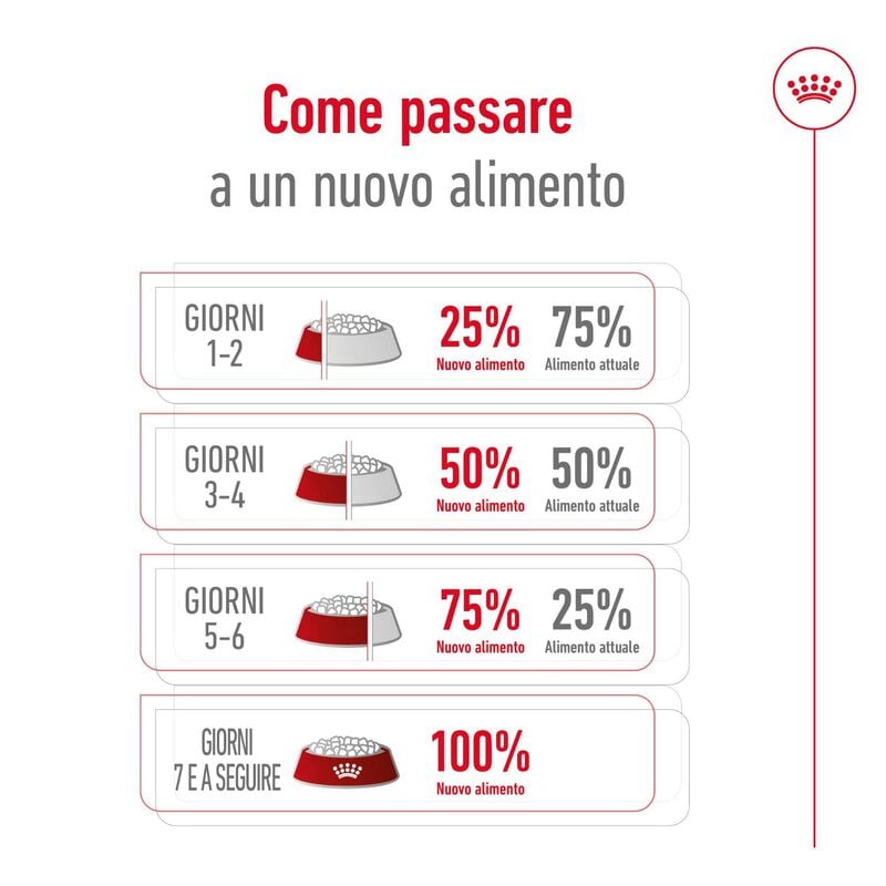 Royal Canin Dog Mini Adult +8, 8kg Royal Canin Dog Mini Adult +8, 8kg