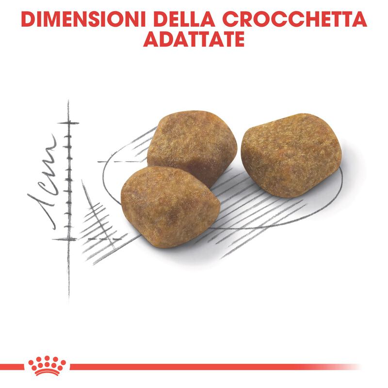 Royal Canin Cat Senior Indoor +7 anni 400 gr