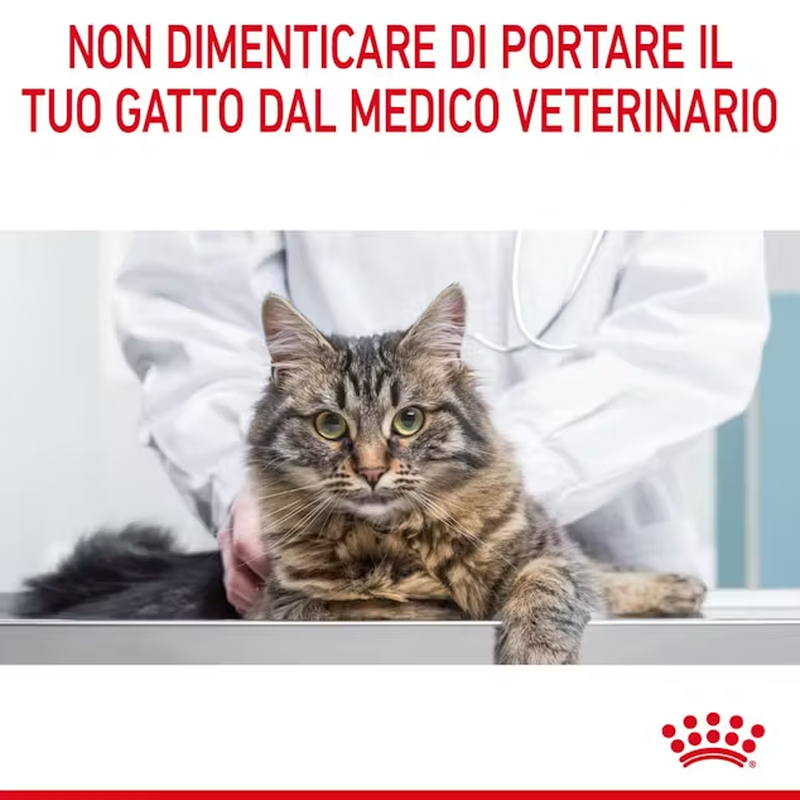Royal Canin Cat Adult Hairball Care Gravy 85 gr