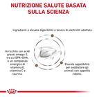 Royal Canin Veterinary Diet Cat Gastrointestinal 400 gr