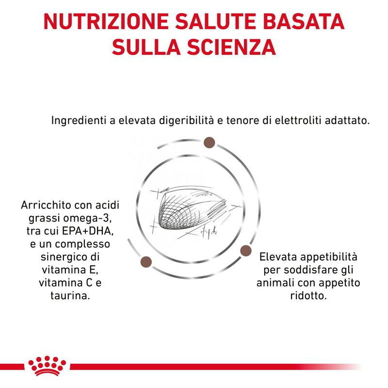 Royal Canin Veterinary Diet Cat Gastrointestinal 400 gr