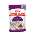 Royal Canin Cat Adult Sensory Feel Jelly 85 gr - Scad. Novembre 25