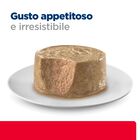 Hill's Prescription Diet c/d Multicare Stress Mousse per gatti adulti con Salmone 85 gr