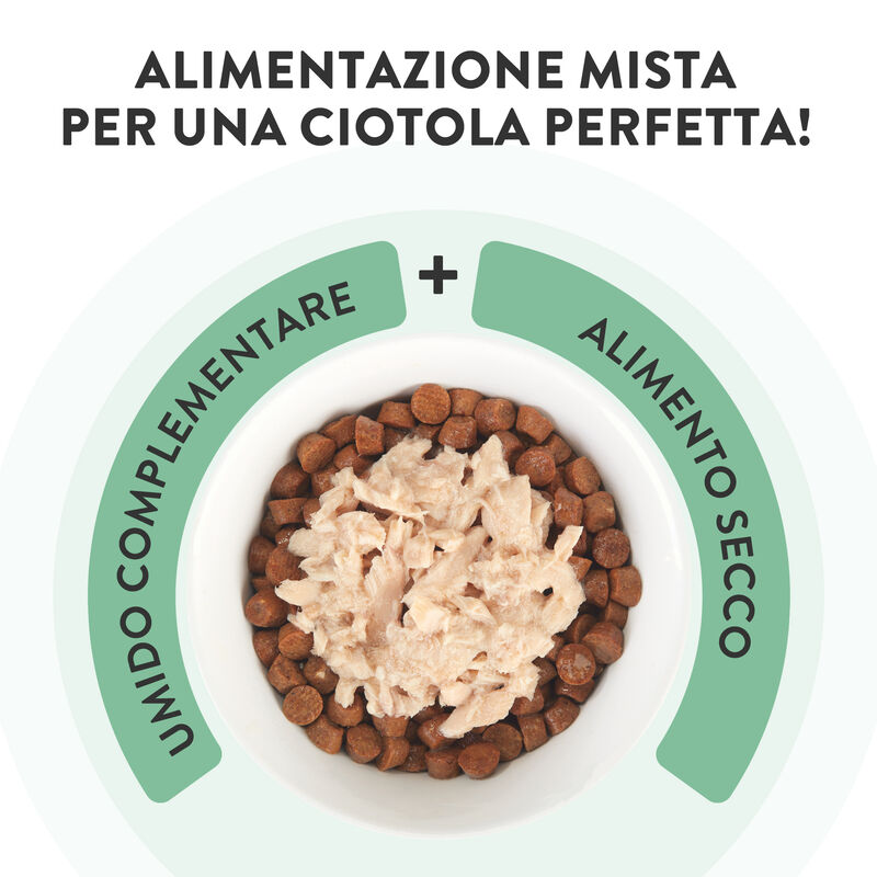 Schesir cat Filetti di Pollo, Manzo e Riso 70gr