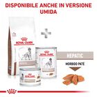 Royal Canin Veterinary Diet Dog Hepatic 12 kg