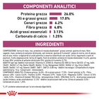 Royal Canin Veterinary Diet Cat Renal Special 400 gr