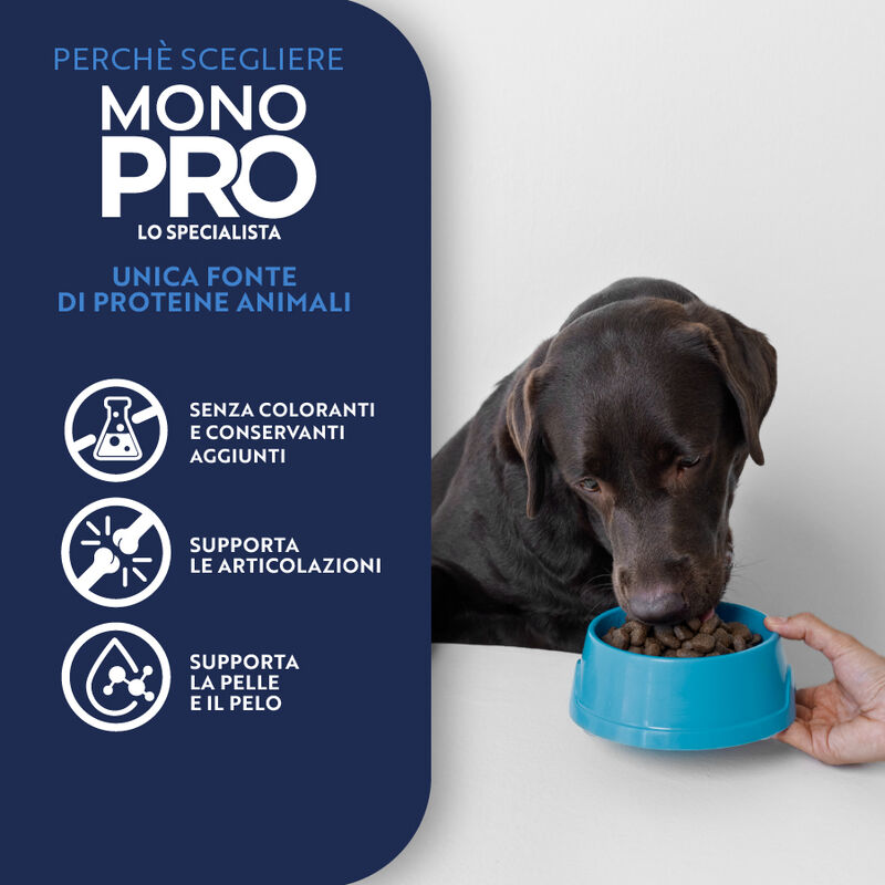 Monopro Dog Adult Medium&Large Grain Free Anatra 12 kg