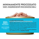 Schesir Cat Adult Tonnetto in brodo 85g