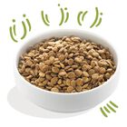 Edgard & Cooper Dog Adult Agnello 7 kg