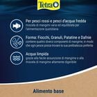 Tetra Goldfish Men&ugrave; 250 ml