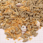 Jbl Proterra Molluscus 250 ml