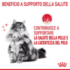 Royal Canin Cat Adult Hair&Skin Jelly 85 gr