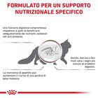 Royal Canin Veterinary Diet Cat Gastrointestinal 2 kg