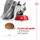 Royal Canin Dog Adult 8+ X-Small 500 gr