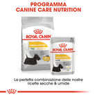 Royal Canin Dog Adult Dermacomfort 85 gr