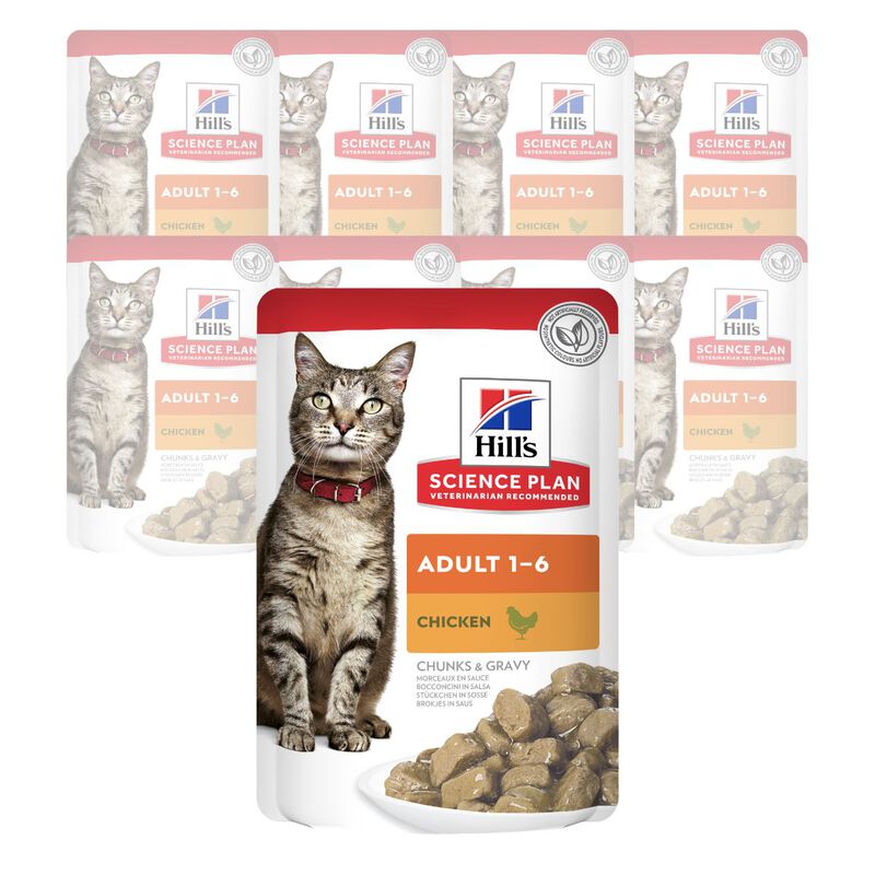 Hill's Science Plan Cat Adult al Pollo Bustina 85 gr