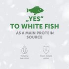 Nature's Protection Dog White Small Grain Free al Pesce 4 kg