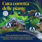 Tetra CO2 Plus 250 ml