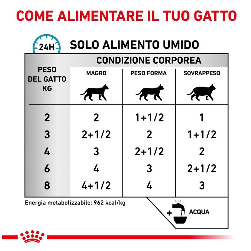 Royal Canin Veterinary Diet Cat Sensitivity Control Pollo con Riso 12x85 gr
